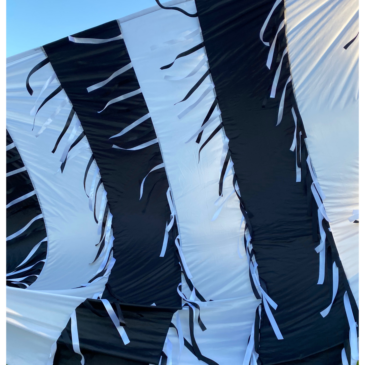 Monochrome Sensory Parachute