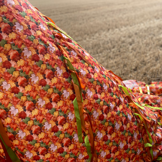 Autumn Sensory Parachute in a field with ribbons hanging down 