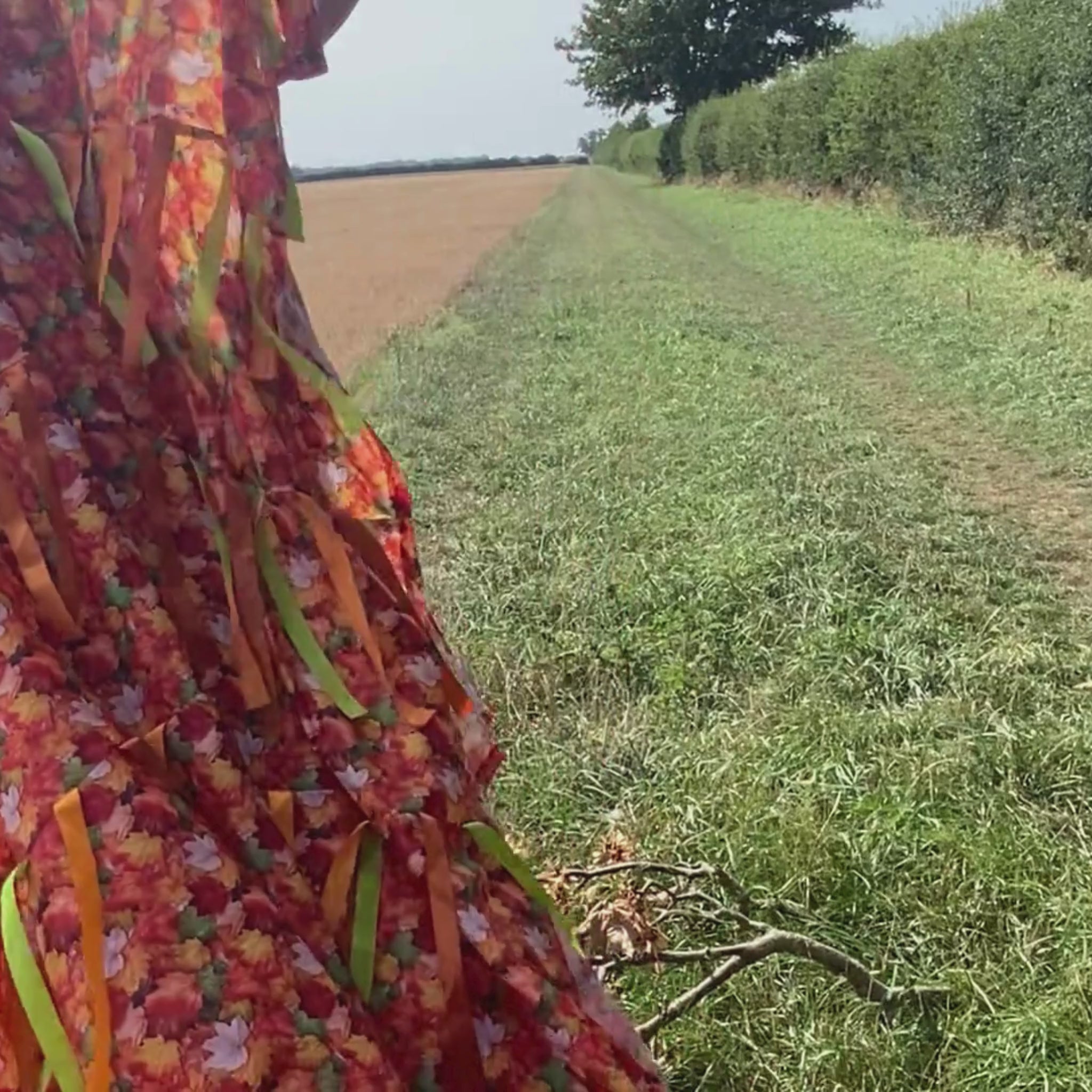 Person holding Autumn Sensory Parachute walking up and down a field as the ribbons move in the breeze